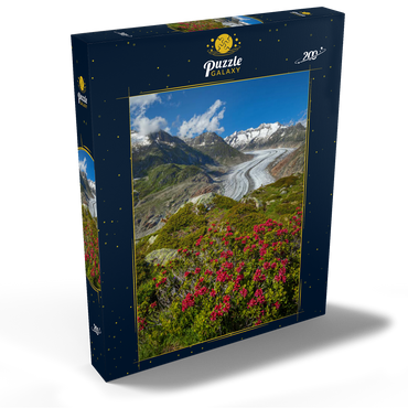 Darstellung des Puzzle Motivs Alpenrosenblüte, Großer Aletschgletscher gegen Wannenhorn (3906m) 200 Puzzle Schachtel Ansicht2