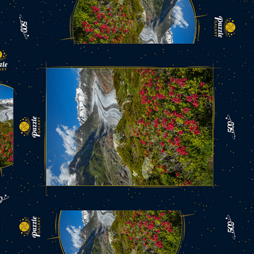 Darstellung des Puzzle Motivs Alpenrosenblüte, Großer Aletschgletscher gegen Wannenhorn (3906m) 500 Puzzle Schachtel 3D Modell