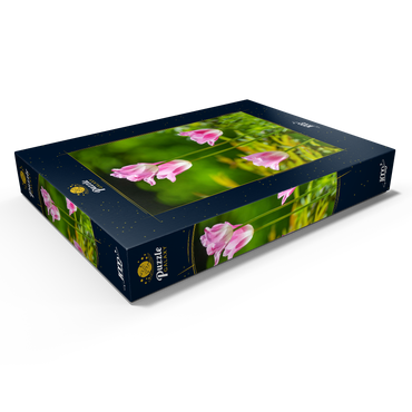 Darstellung des Puzzle Motivs Tulpen in einem Hausgarten 1000 Puzzle Schachtel Ansicht1