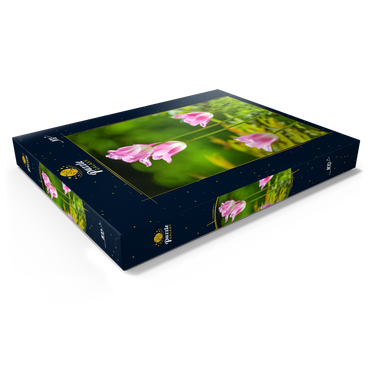 Darstellung des Puzzle Motivs Tulpen in einem Hausgarten 100 Puzzle Schachtel Ansicht1