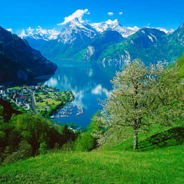 Darstellung des Puzzle Motivs Blick auf das Dorf am See gegen Gitschen und Urirotstock 1000 Puzzle 3D Modell