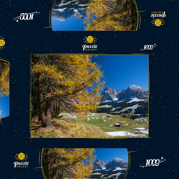 Darstellung des Puzzle Motivs Herbst auf der Seiser Alm (1700 - 2300m) gegen Langkofelgruppe (3181m), Trentino-Südtirol 1000 Puzzle Schachtel 3D Modell