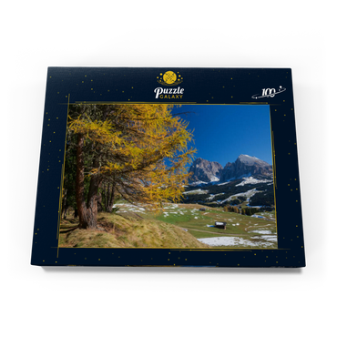 Darstellung des Puzzle Motivs Herbst auf der Seiser Alm (1700 - 2300m) gegen Langkofelgruppe (3181m), Trentino-Südtirol 100 Puzzle Schachtel Ansicht3