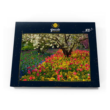 Darstellung des Puzzle Motivs Blumenanlage im Luisenpark in Mannheim 100 Puzzle Schachtel Ansicht3