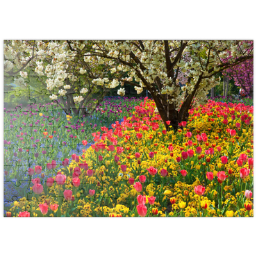 Darstellung des Puzzle Motivs puzzleplate Blumenanlage im Luisenpark in Mannheim 100 Puzzle