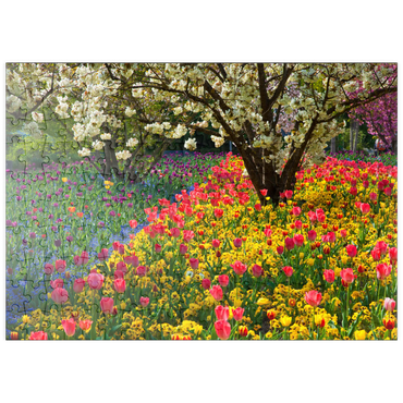 Darstellung des Puzzle Motivs puzzleplate Blumenanlage im Luisenpark in Mannheim 200 Puzzle