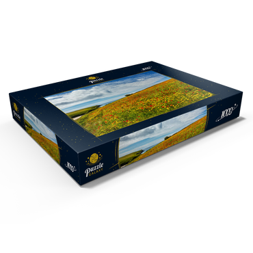 Darstellung des Puzzle Motivs Wildblumenwiese bei West Pentire, Nordküste, Cornwall 1000 Puzzle Schachtel Ansicht1