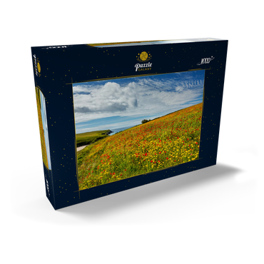 Darstellung des Puzzle Motivs Wildblumenwiese bei West Pentire, Nordküste, Cornwall 1000 Puzzle Schachtel Ansicht2