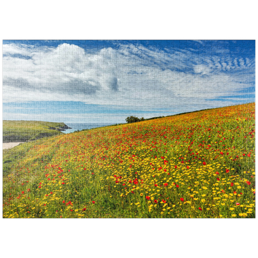 Darstellung des Puzzle Motivs puzzleplate Wildblumenwiese bei West Pentire, Nordküste, Cornwall 1000 Puzzle