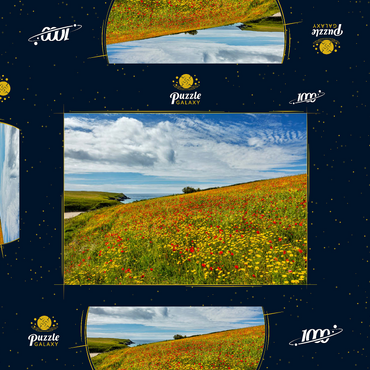 Darstellung des Puzzle Motivs Wildblumenwiese bei West Pentire, Nordküste, Cornwall 1000 Puzzle Schachtel 3D Modell
