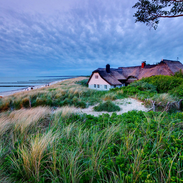 Darstellung des Puzzle Motivs Haus am Grenzweg am Strand, Ostseebad Ahrenshoop, Fischland-Darß-Zingst, Mecklenburg-Vorpommern 1000 Puzzle 3D Modell
