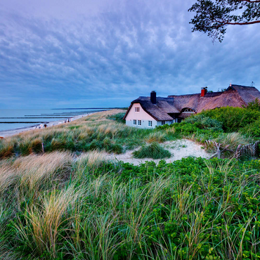 Darstellung des Puzzle Motivs Haus am Grenzweg am Strand, Ostseebad Ahrenshoop, Fischland-Darß-Zingst, Mecklenburg-Vorpommern 500 Puzzle 3D Modell