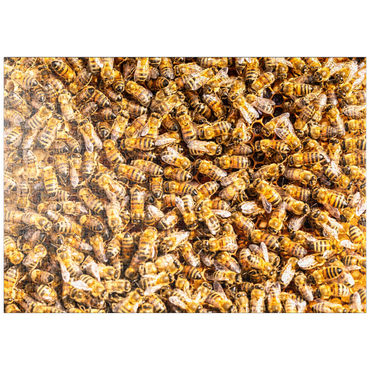 Darstellung des Puzzle Motivs puzzleplate Arbeiter Honigbienen auf einem Rahmen aus einem Bienenstock. 1000 Puzzle