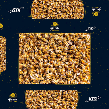 Darstellung des Puzzle Motivs Arbeiter Honigbienen auf einem Rahmen aus einem Bienenstock. 1000 Puzzle Schachtel 3D Modell