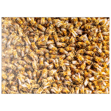Darstellung des Puzzle Motivs puzzleplate Arbeiter Honigbienen auf einem Rahmen aus einem Bienenstock. 100 Puzzle