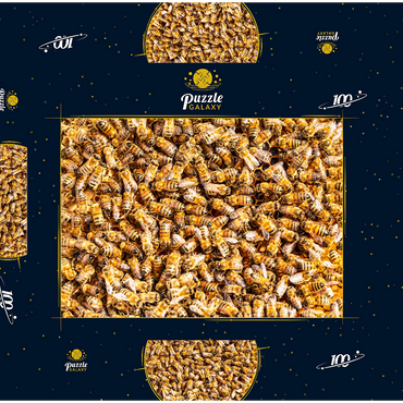 Darstellung des Puzzle Motivs Arbeiter Honigbienen auf einem Rahmen aus einem Bienenstock. 100 Puzzle Schachtel 3D Modell