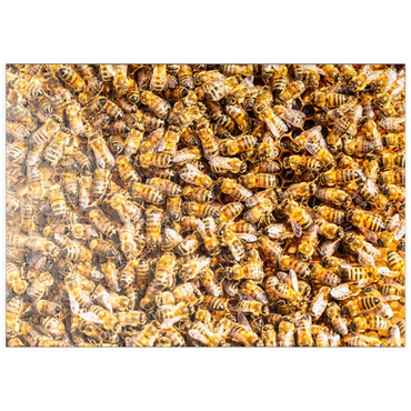 Darstellung des Puzzle Motivs puzzleplate Arbeiter Honigbienen auf einem Rahmen aus einem Bienenstock. 200 Puzzle