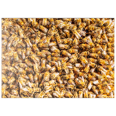 Darstellung des Puzzle Motivs puzzleplate Arbeiter Honigbienen auf einem Rahmen aus einem Bienenstock. 500 Puzzle