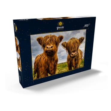 Darstellung des Puzzle Motivs Zwei Hochlandkühe 1000 Puzzle Schachtel Ansicht2