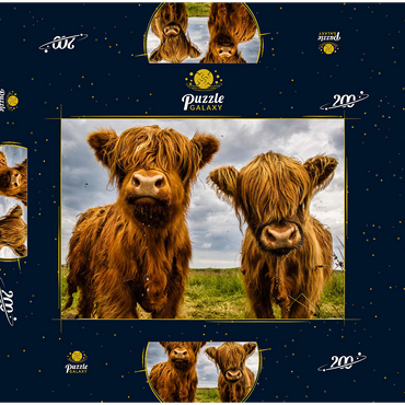 Darstellung des Puzzle Motivs Zwei Hochlandkühe 200 Puzzle Schachtel 3D Modell