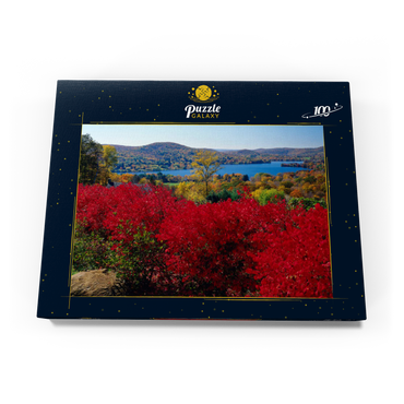 Darstellung des Puzzle Motivs Herbststimmung am Lake Waramaug, Connecticut, USA 100 Puzzle Schachtel Ansicht3