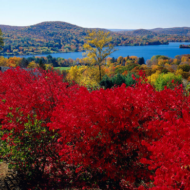 Darstellung des Puzzle Motivs Herbststimmung am Lake Waramaug, Connecticut, USA 500 Puzzle 3D Modell