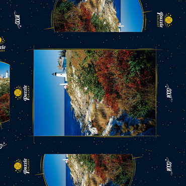 Darstellung des Puzzle Motivs Leuchtturm am Pemaquid Point, Maine, USA 1000 Puzzle Schachtel 3D Modell