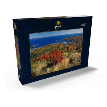 Darstellung des Puzzle Motivs Stadtübersicht und Yachthafen von Camden, Maine, USA 1000 Puzzle Schachtel Ansicht2