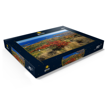 Darstellung des Puzzle Motivs Stadtübersicht und Yachthafen von Camden, Maine, USA 100 Puzzle Schachtel Ansicht1