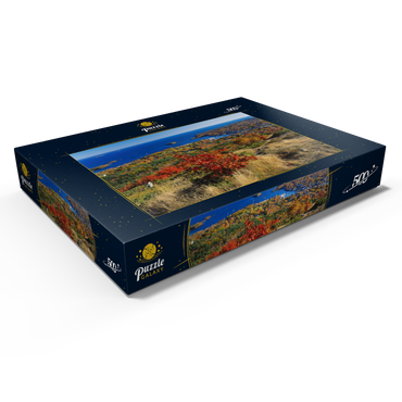 Darstellung des Puzzle Motivs Stadtübersicht und Yachthafen von Camden, Maine, USA 500 Puzzle Schachtel Ansicht1