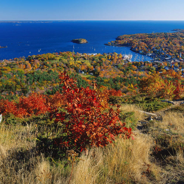 Darstellung des Puzzle Motivs Stadtübersicht und Yachthafen von Camden, Maine, USA 500 Puzzle 3D Modell