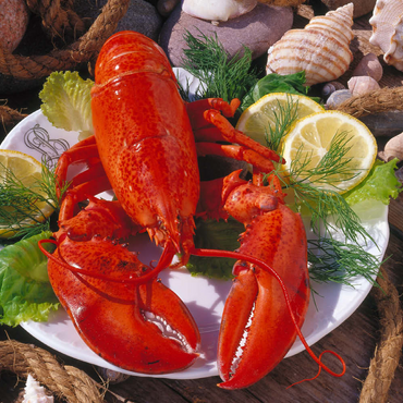 Darstellung des Puzzle Motivs Hummer 100 Puzzle 3D Modell