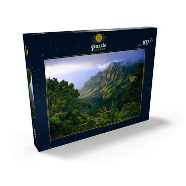 Darstellung des Puzzle Motivs Na Pali Küste, Insel Kauai, Hawaii, USA 100 Puzzle Schachtel Ansicht2