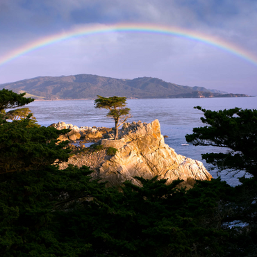 Darstellung des Puzzle Motivs Regenbogen über der Monterey-Zypresse (Lone Cypress) an der Pazifikküste bei 1000 Puzzle 3D Modell
