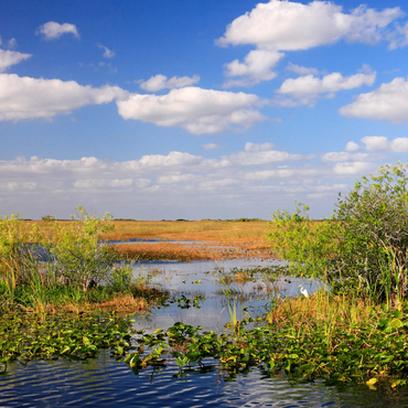 Darstellung des Puzzle Motivs Everglades Nationalpark, Florida, USA 1000 Puzzle 3D Modell