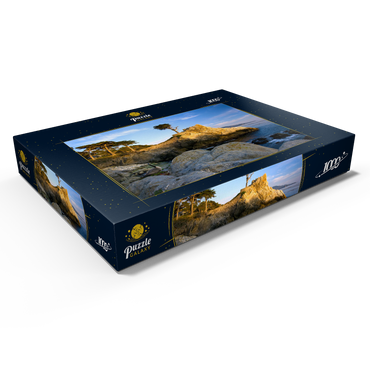 Darstellung des Puzzle Motivs Monterey Zypresse (Lone Cypress) an der Pazifikküste bei 1000 Puzzle Schachtel Ansicht1