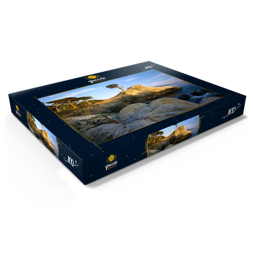 Darstellung des Puzzle Motivs Monterey Zypresse (Lone Cypress) an der Pazifikküste bei 100 Puzzle Schachtel Ansicht1