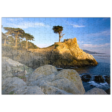 Darstellung des Puzzle Motivs puzzleplate Monterey Zypresse (Lone Cypress) an der Pazifikküste bei 200 Puzzle