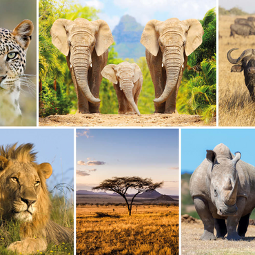 Darstellung des Puzzle Motivs Afrika-Safari - Löwe, Elefant, Leopard, Nashorn, Büffel 100 Puzzle 3D Modell