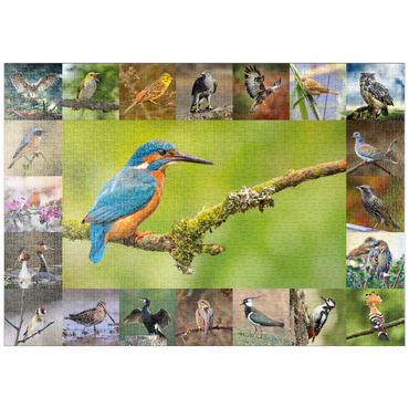 Darstellung des Puzzle Motivs puzzleplate Vögel des Jahres - Collage Nr.8 Hauptmotiv: Eisvogel 1000 Puzzle