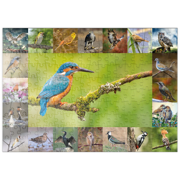 Darstellung des Puzzle Motivs puzzleplate Vögel des Jahres - Collage Nr.8 Hauptmotiv: Eisvogel 200 Puzzle