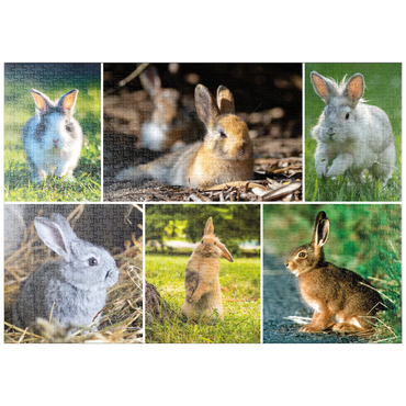 Darstellung des Puzzle Motivs puzzleplate Hasen & Kaninchen - Collage No. 2 1000 Puzzle
