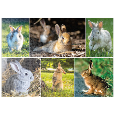 Darstellung des Puzzle Motivs puzzleplate Hasen & Kaninchen - Collage No. 2 500 Puzzle