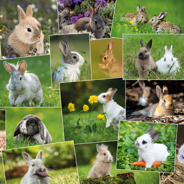 Darstellung des Puzzle Motivs Hasen & Kaninchen - Collage No. 3 1000 Puzzle 3D Modell