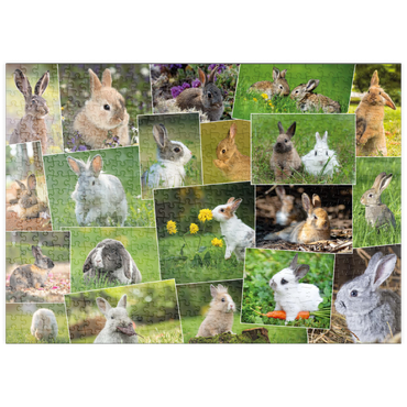 Darstellung des Puzzle Motivs puzzleplate Hasen & Kaninchen - Collage No. 3 500 Puzzle