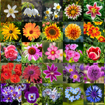 Darstellung des Puzzle Motivs Bunte Blumen-Collage Nr. 5 im Frühling und Sommer 500 Puzzle 3D Modell