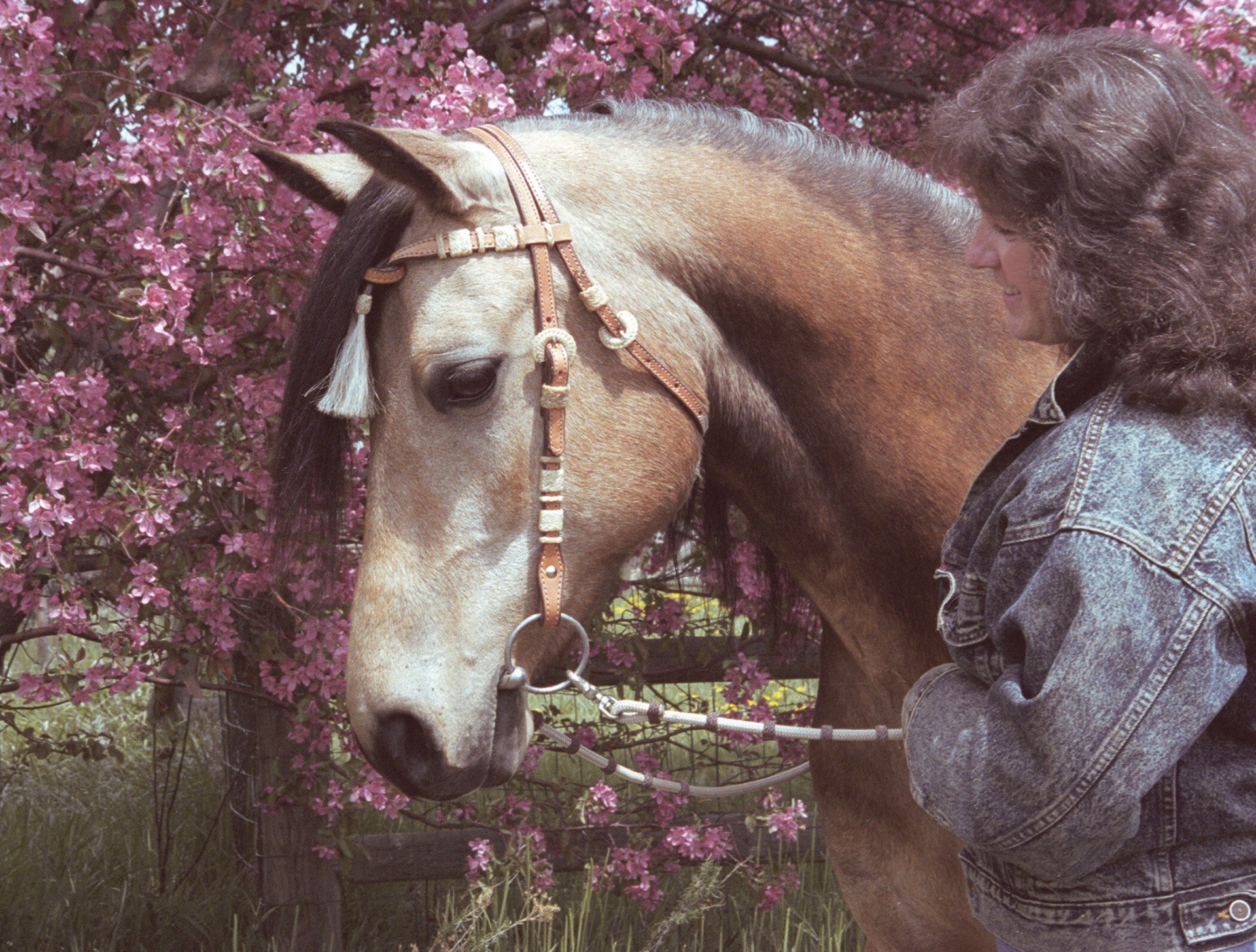 Profilbild des Künstlers