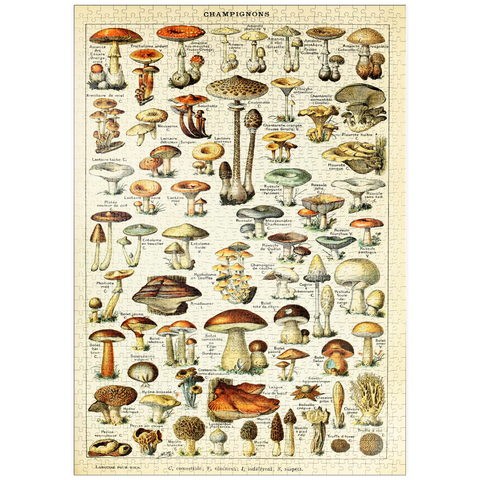 puzzleplate Champignons - Mushrooms For All, Vintage Art Poster, Adolphe Millot 1000 Puzzle