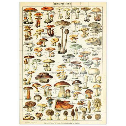 puzzleplate Champignons - Pilze für Alle, Vintage Art Poster, Adolphe Millot 100 Puzzle