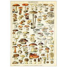 Darstellung des Puzzle Motivs Champignons - Pilze für Alle, Vintage Art Poster, Adolphe Millot - Puzzleteile: 100